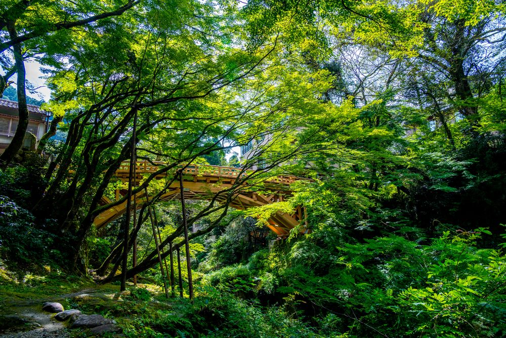 こおろぎ橋の画像 - 3枚目