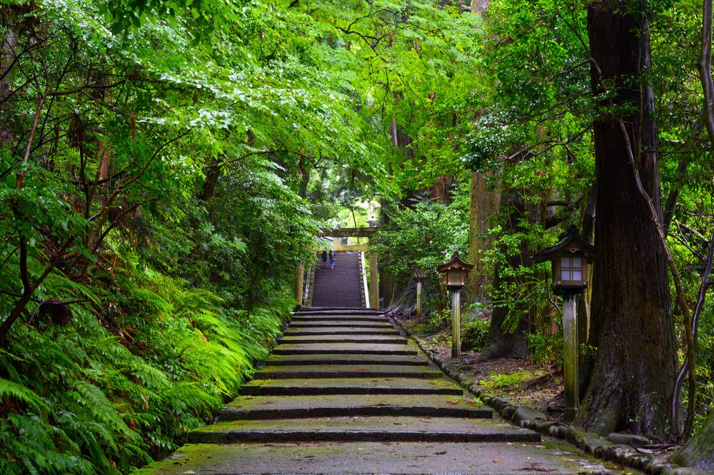 白山神社の画像 - 4枚目
