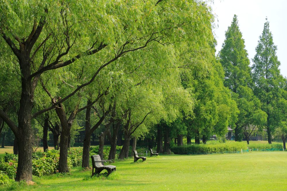 木場潟公園の画像 - 2枚目