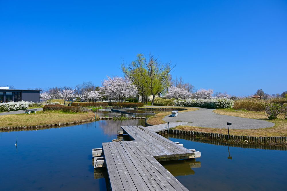 木場潟公園の画像 - 5枚目