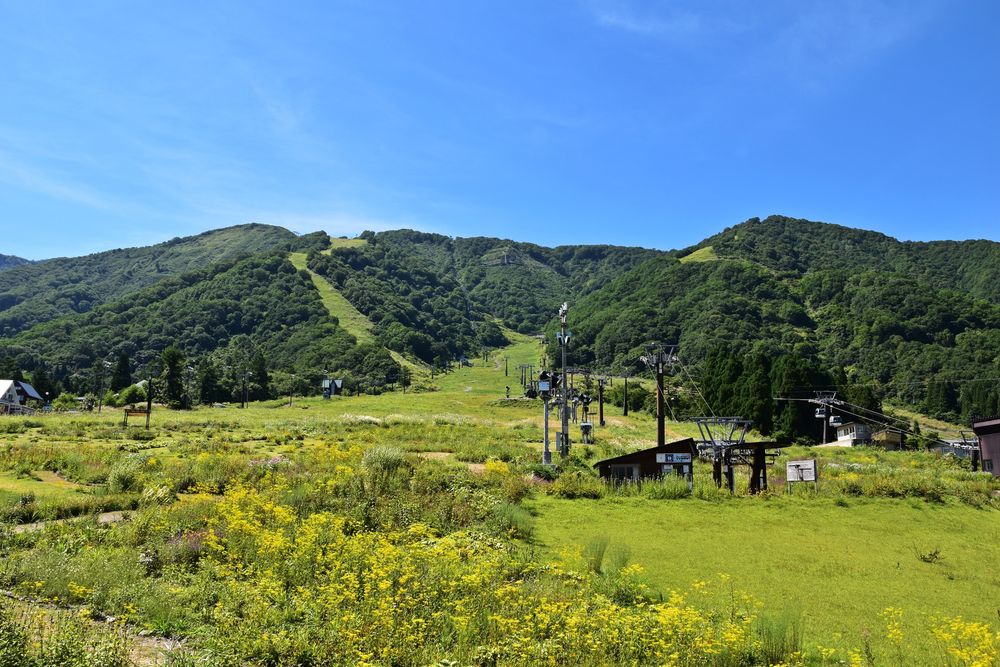 エイブル白馬五竜スキー場の画像 - 2枚目