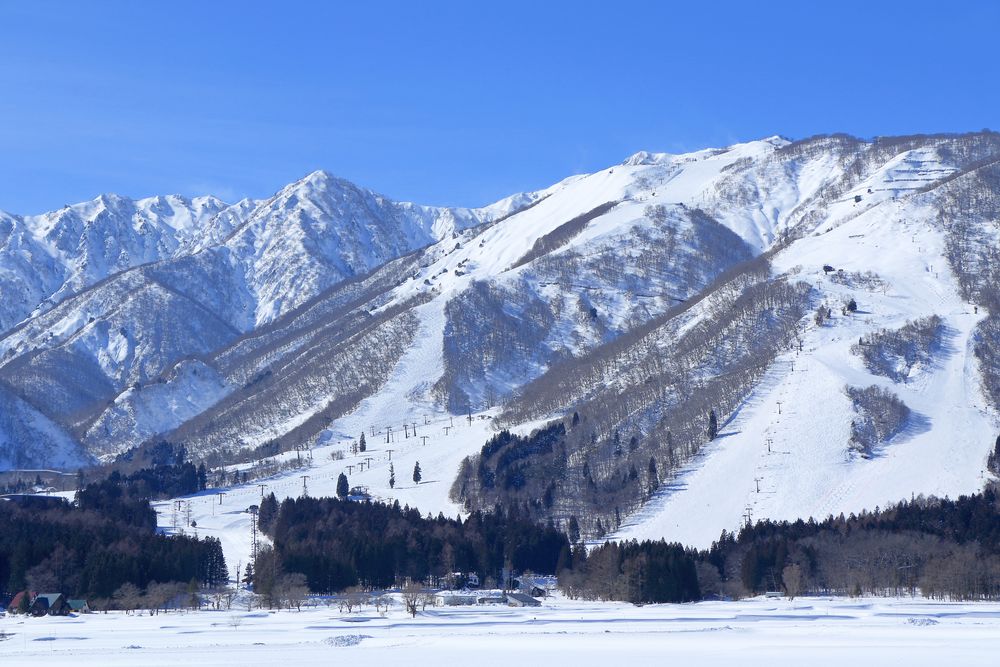 エイブル白馬五竜スキー場の画像 - 3枚目