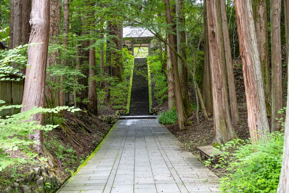 安楽寺の画像 - 4枚目