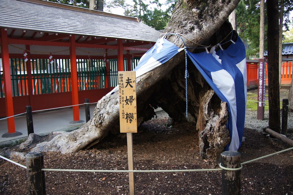 生島足島神社の画像 - 2枚目
