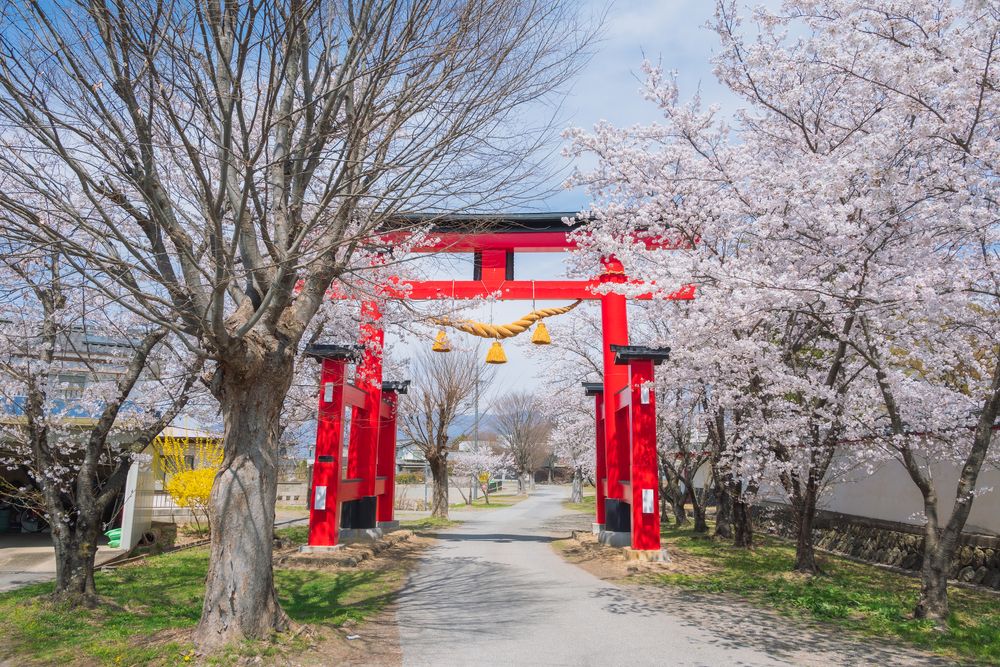 生島足島神社の画像 - 5枚目