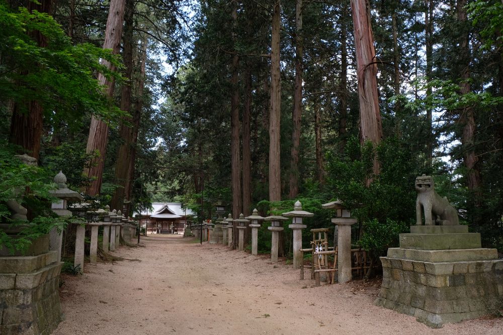 住吉神社の画像 - 3枚目