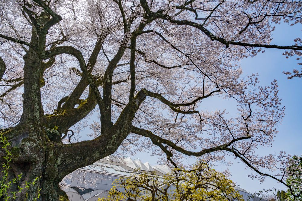 飯田市美術博物館の画像 - 3枚目