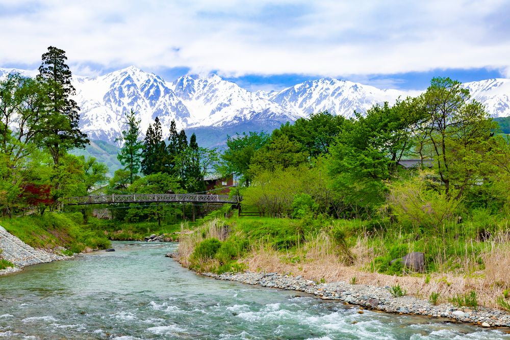 大出の吊橋の画像 - 5枚目
