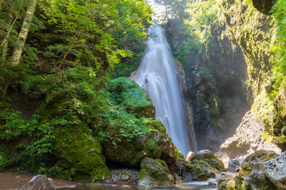 滝ぼん 三本滝】の周辺スポット・アクセス・口コミ - Prism Japan