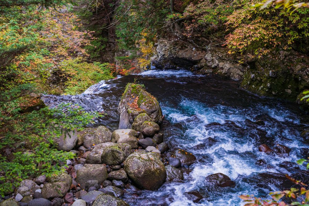 掛軸 村田秀峰 瀑布群禽図 共箱 紅葉 瀧 秋 小鳥 A-13 画像・写真：カメラ片手に！ 奥日光「竜頭の滝」を彩る鮮やかな