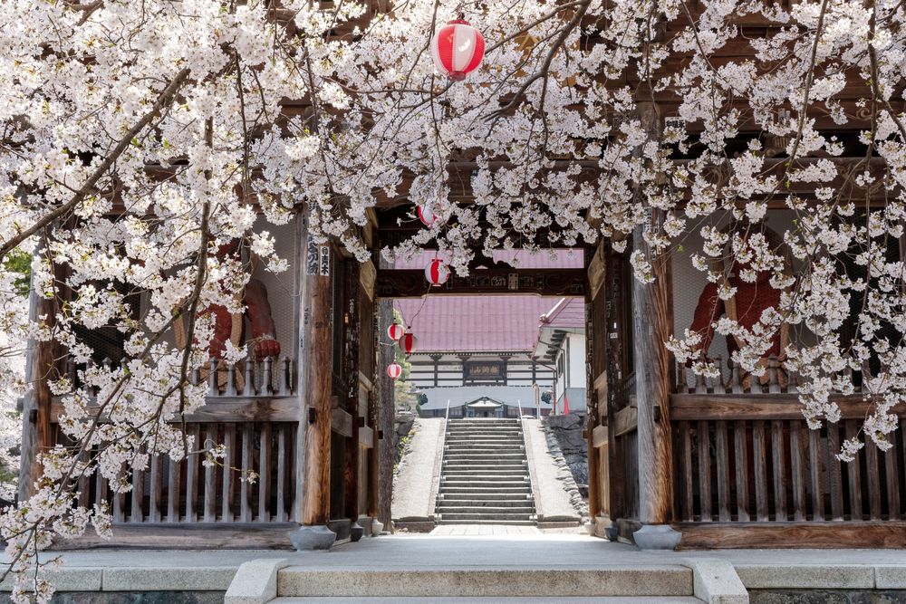 梅洞山 岩松院の画像 - 4枚目