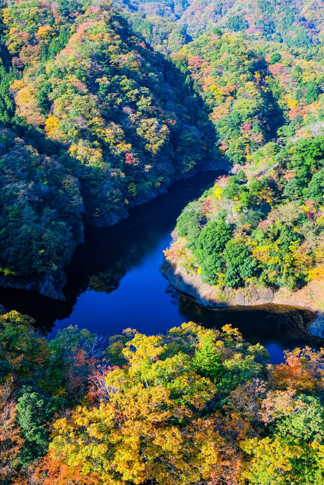 竜神大吊橋の画像 - 3枚目