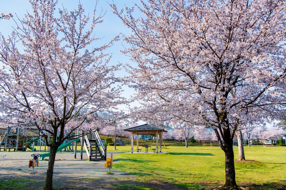 城山公園の画像 - 3枚目