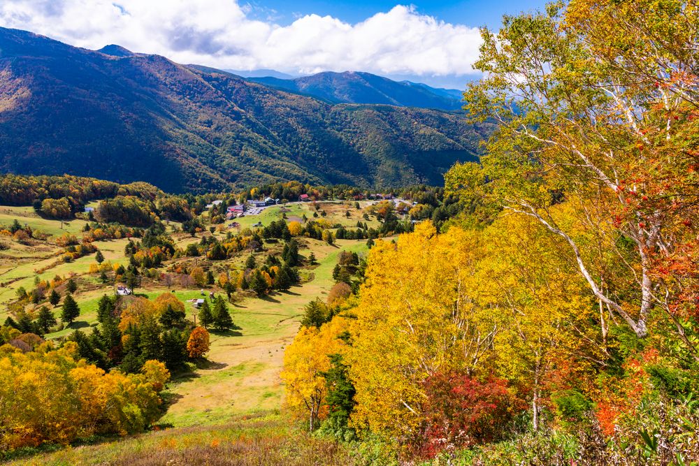 山田牧場の画像 - 4枚目