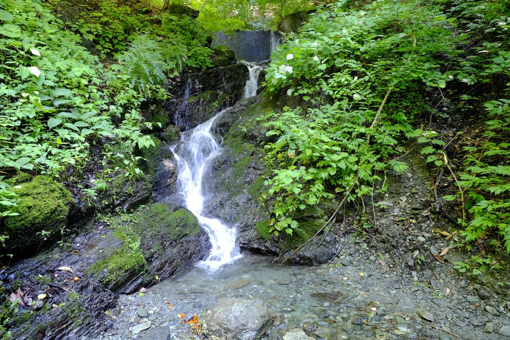 分杭峠】の周辺スポット・アクセス・口コミ - Prism Japan