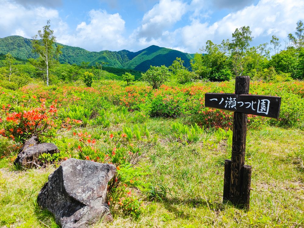 一の瀬園地の画像 - 5枚目