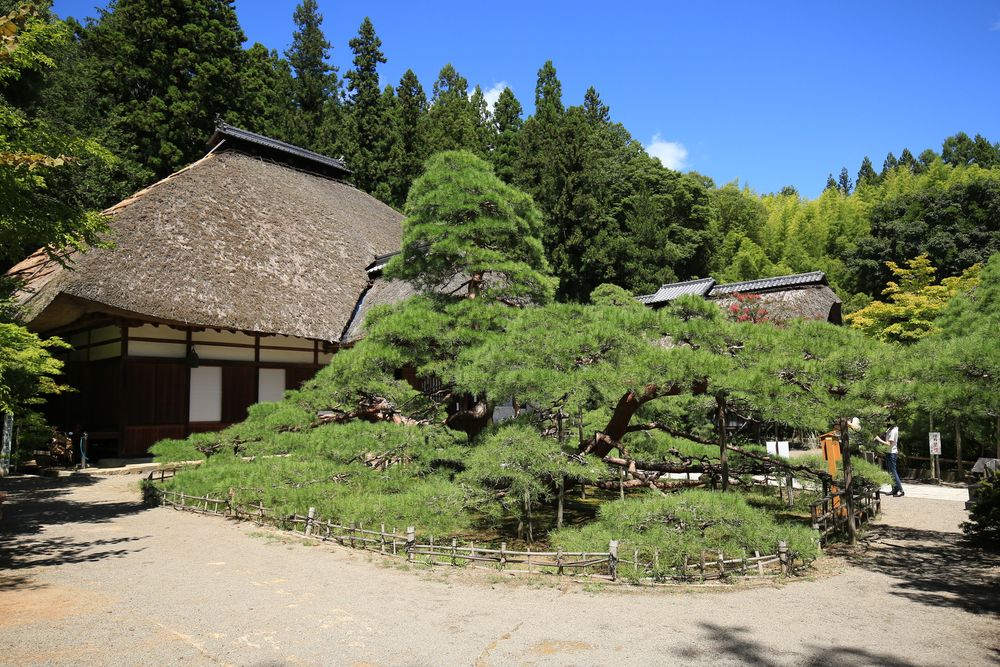 常楽寺の画像 - 2枚目