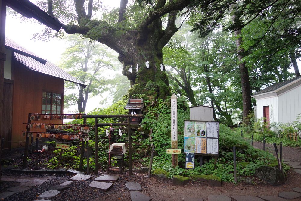 熊野皇大神社の画像 - 3枚目
