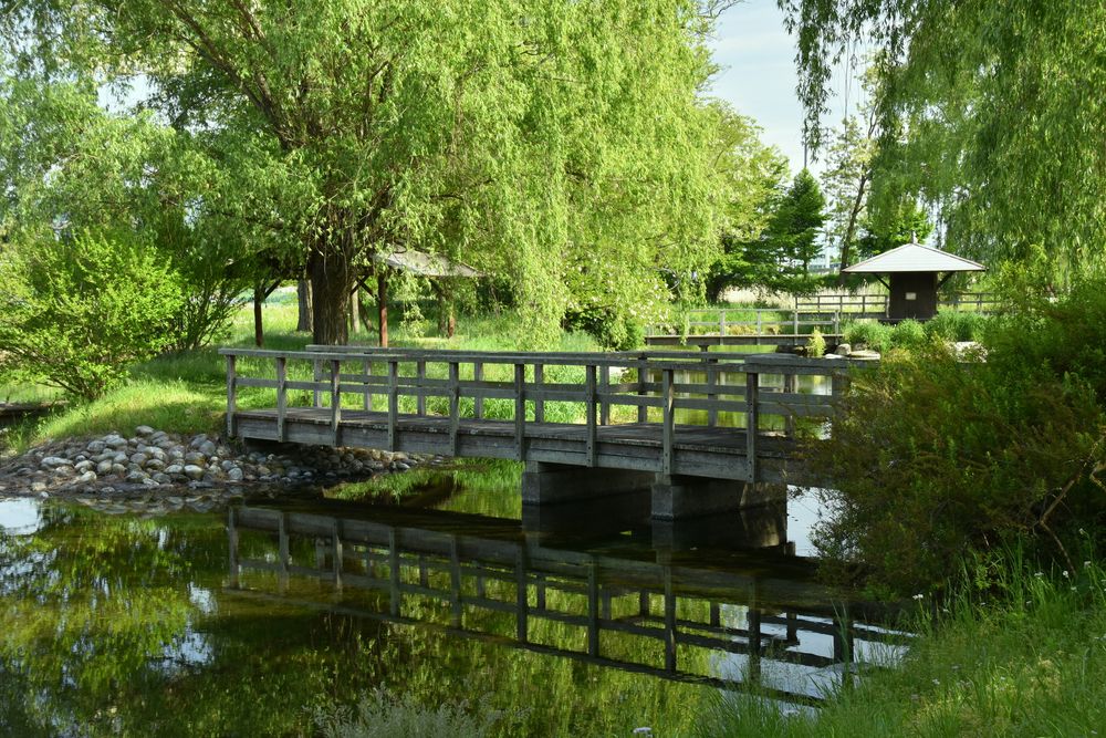 安曇野わさび田湧水群公園 (憩いの池）の画像 - 4枚目