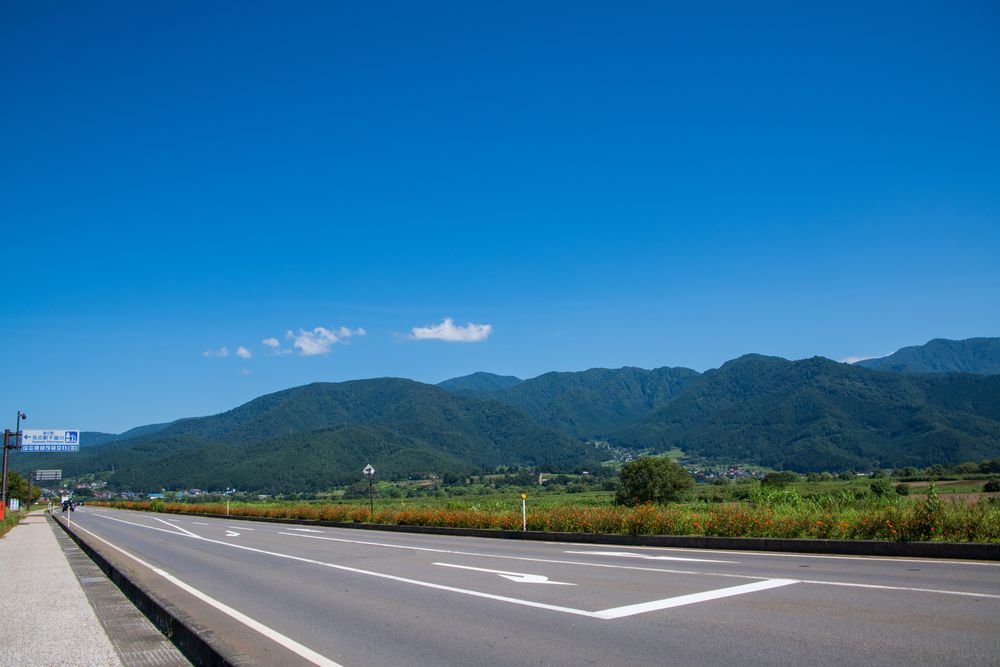 道の駅 花の駅千曲川の画像 - 2枚目