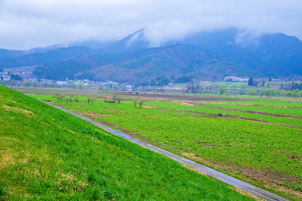 道の駅 花の駅千曲川の画像 - 4枚目