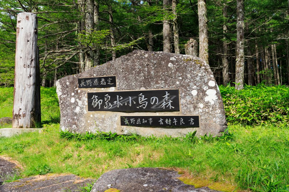 御泉水自然園の画像 - 6枚目
