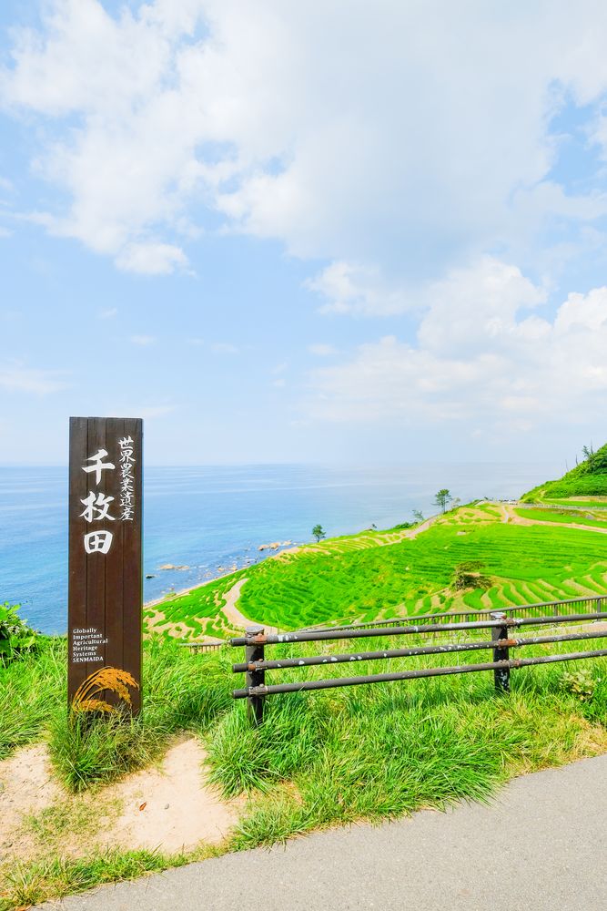 千景 道の駅 千枚田ポケットパーク】の周辺スポット・アクセス・口コミ