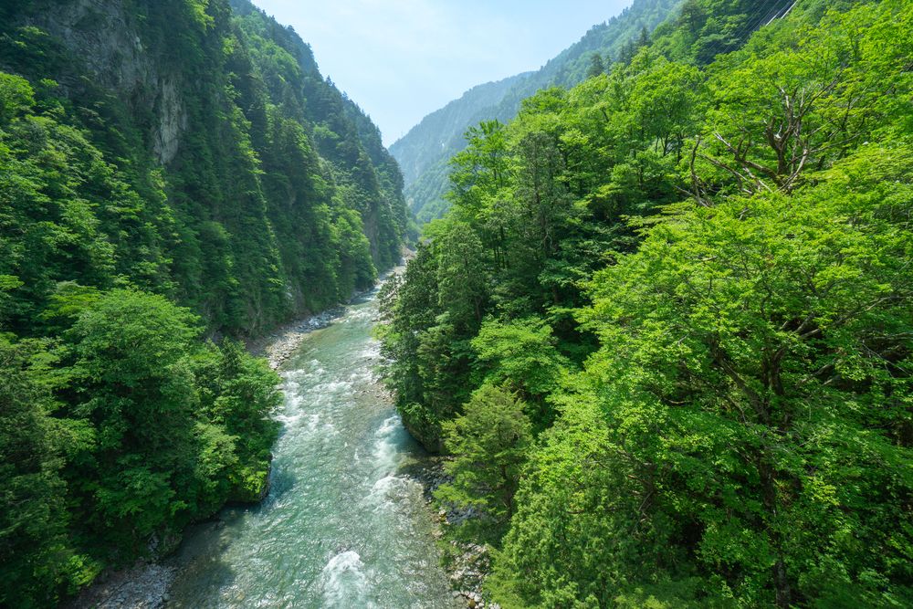 黒部峡谷の画像 - 2枚目