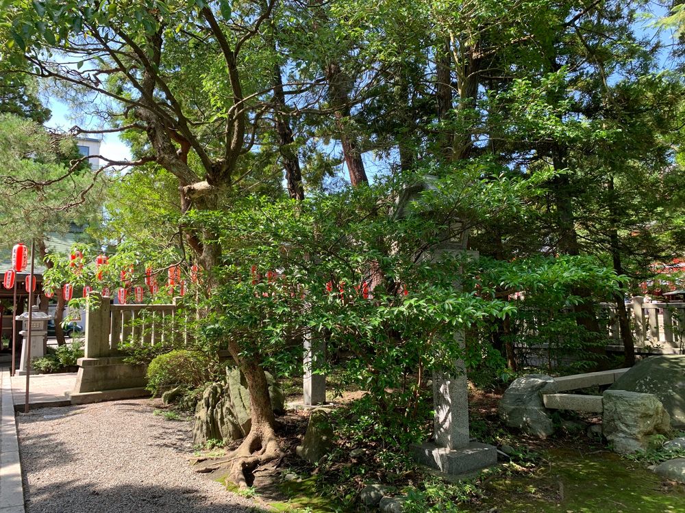 日枝神社の画像 - 3枚目