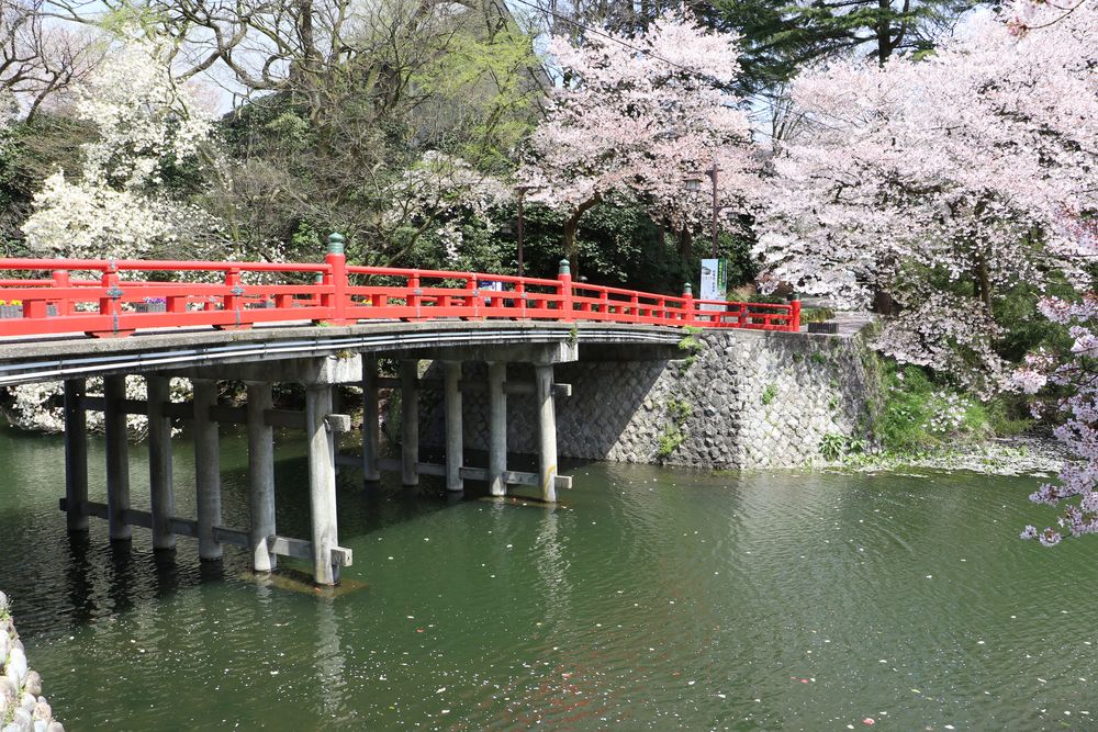高岡城跡（高岡古城公園）の画像 - 2枚目