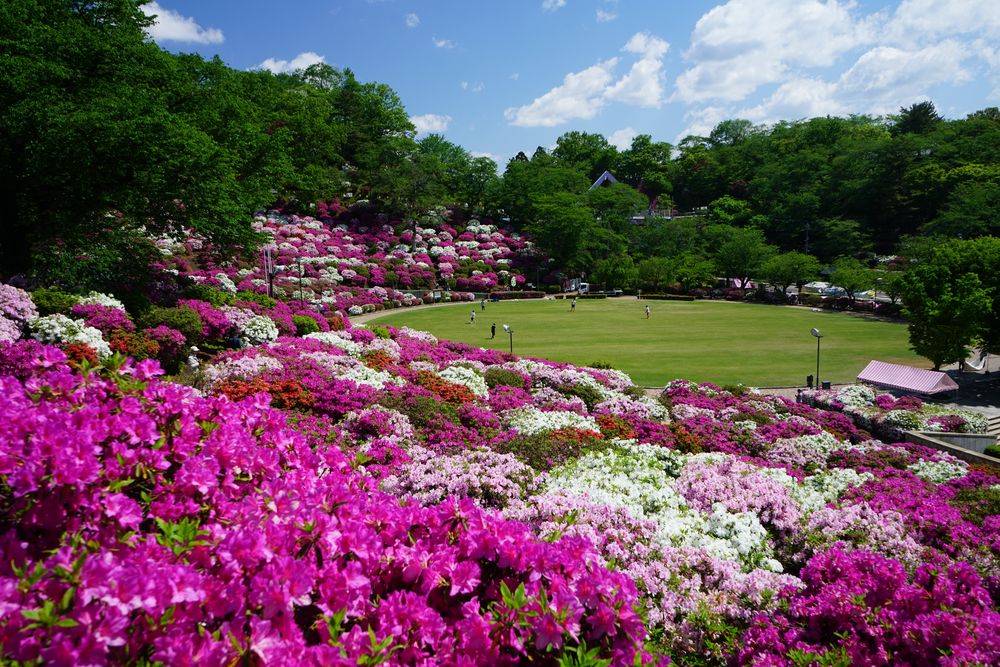 西山公園の画像 - 3枚目