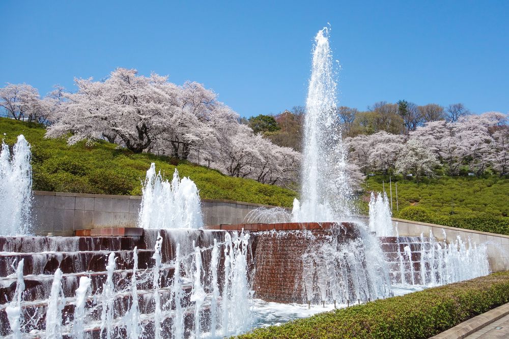 西山公園の画像 - 4枚目