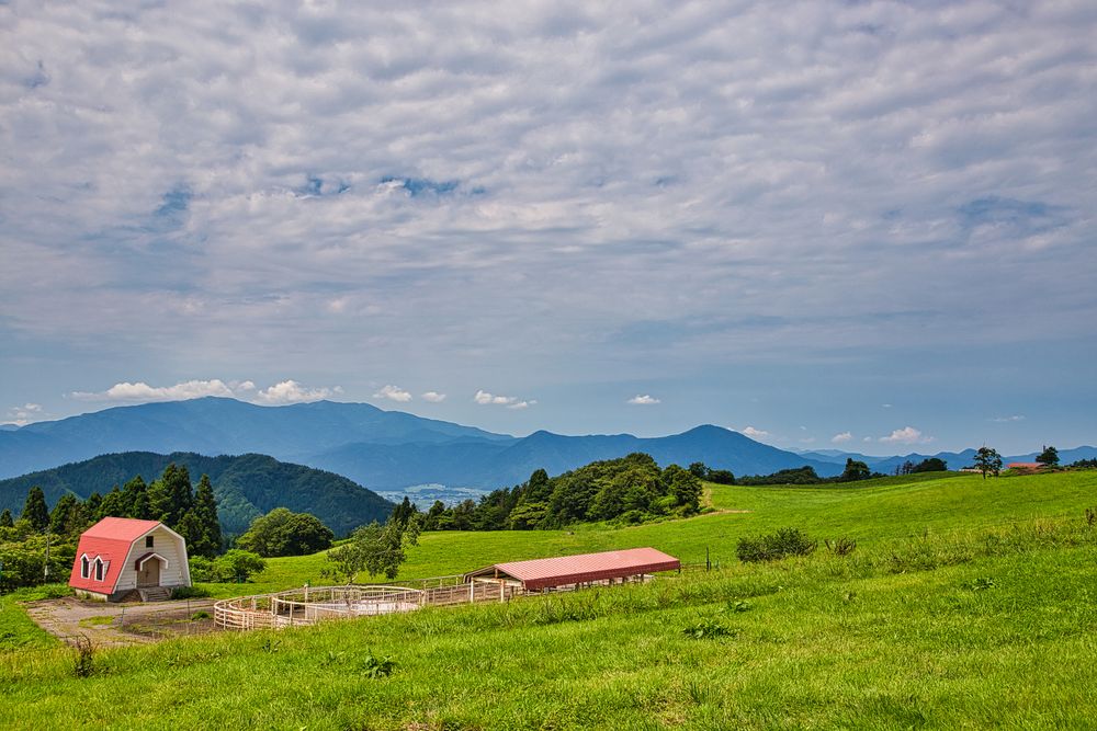 福井県奥越高原牧場の画像 - 3枚目