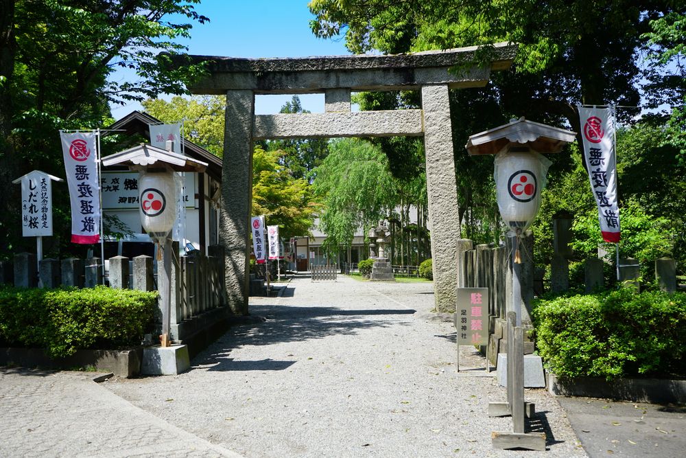 足羽神社の画像 - 2枚目