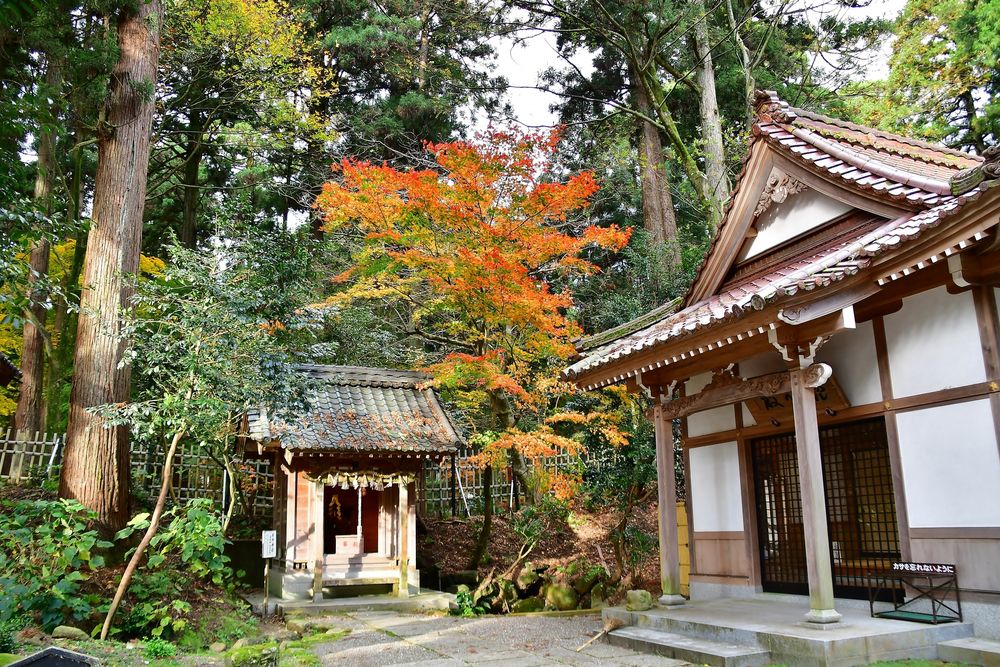 劔神社の画像 - 5枚目