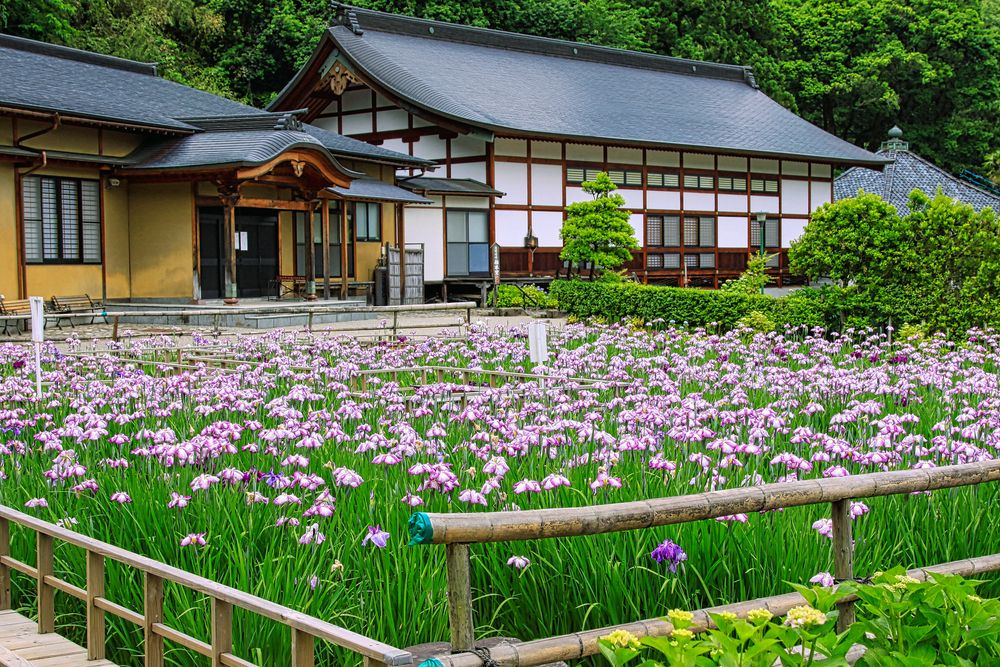 大安禅寺の画像 - 4枚目