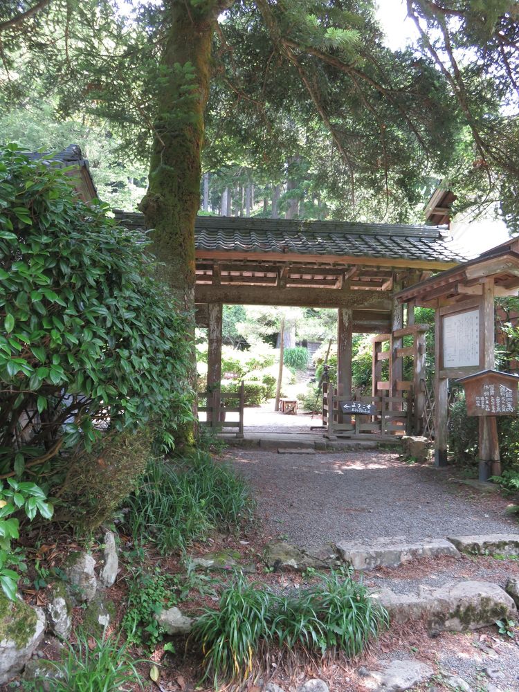 花菖蒲園の画像 - 4枚目