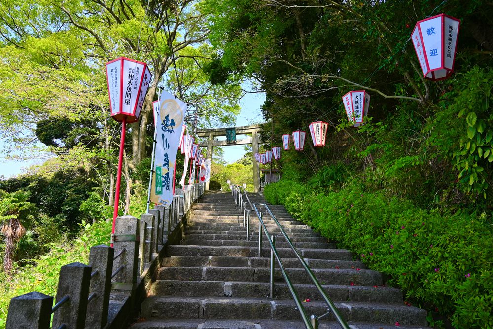 金崎宮の画像 - 2枚目