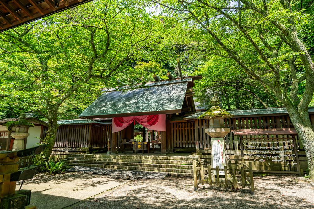 金崎宮の画像 - 3枚目