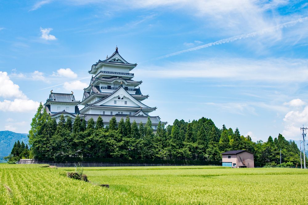 勝山城博物館の画像 - 2枚目