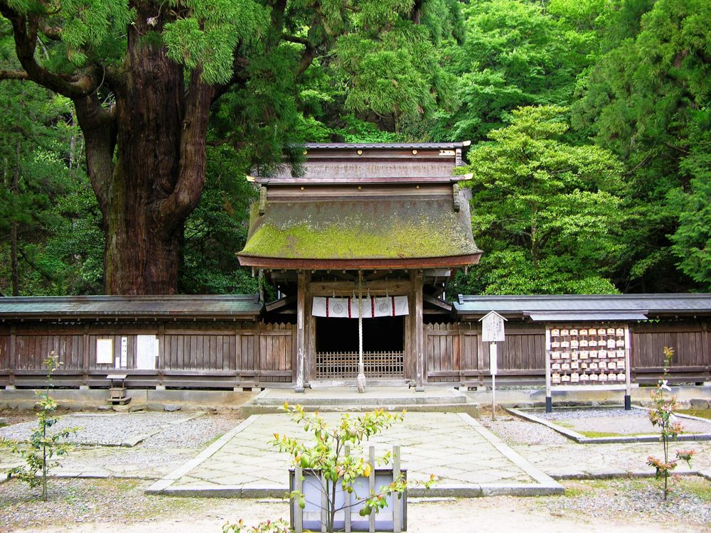 若狭彦神社の画像 - 6枚目
