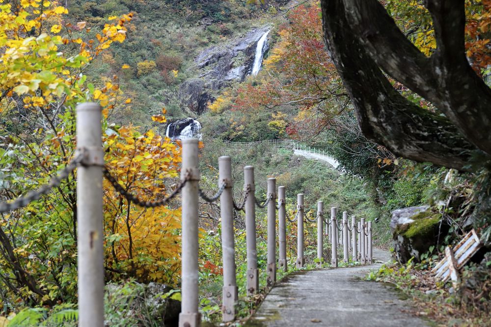 仏御前の滝の画像 - 2枚目
