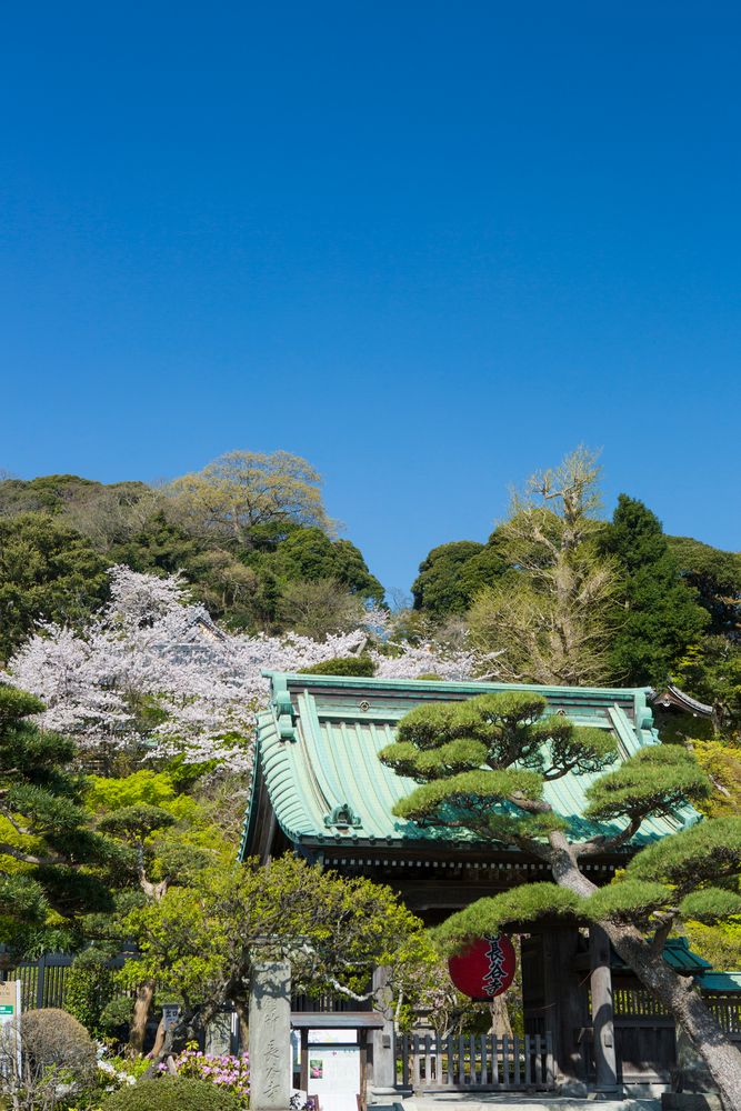長谷寺の画像 - 2枚目