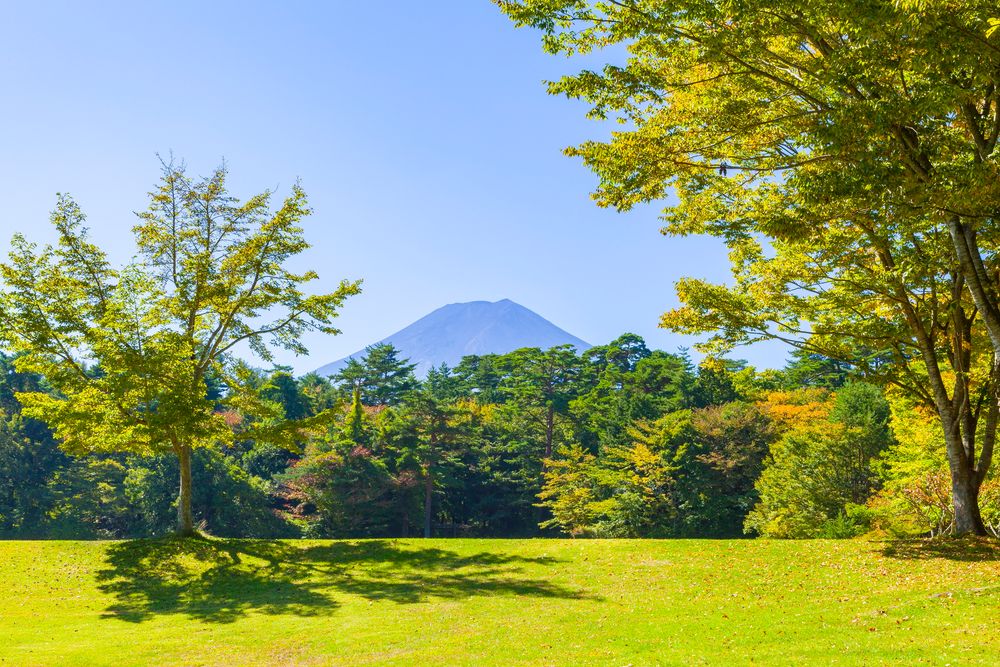 富士北麓公園の画像 - 3枚目
