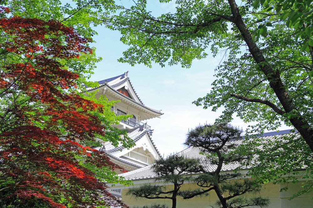 歌舞伎文化公園の画像 - 2枚目