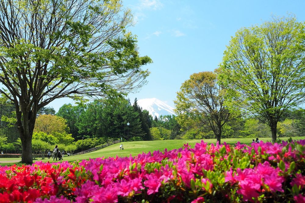 諏訪の森自然公園の画像 - 2枚目