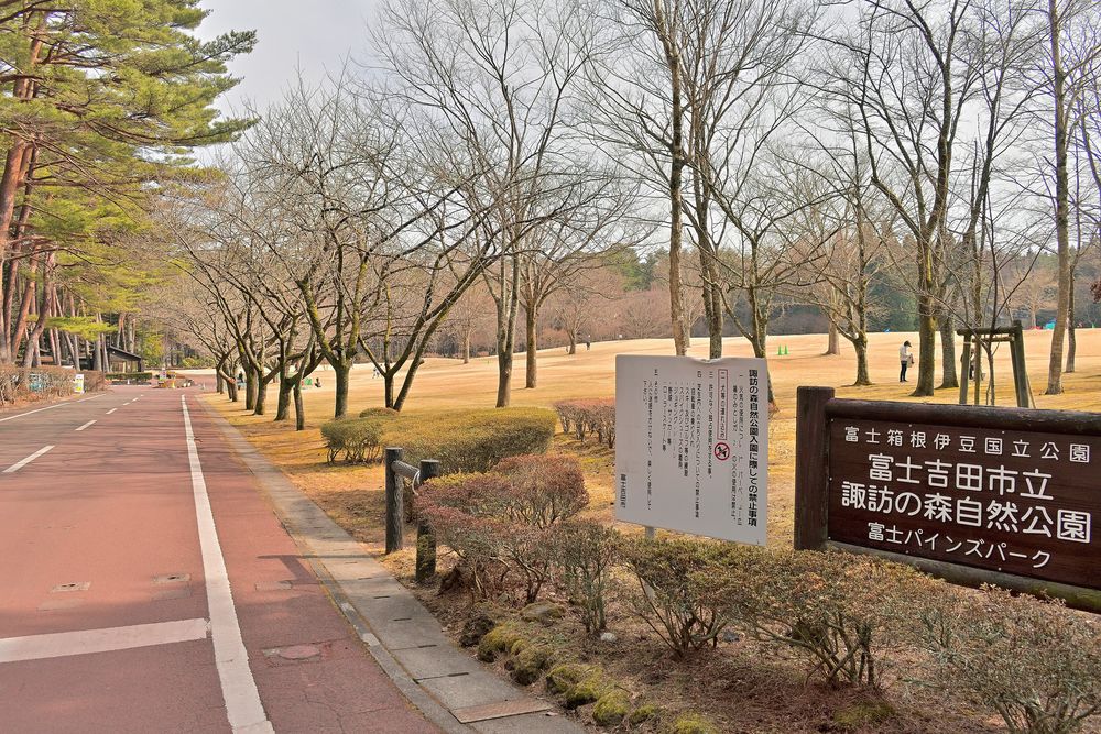 諏訪の森自然公園の画像 - 4枚目