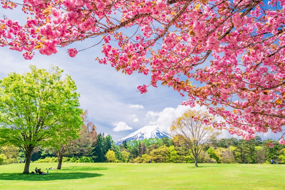 諏訪の森自然公園の画像 - 5枚目