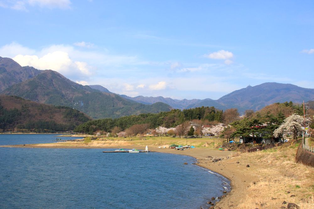 小海公園の画像 - 3枚目