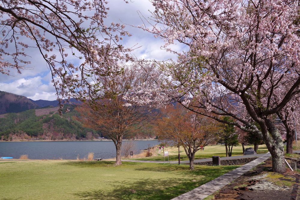 小海公園の画像 - 4枚目